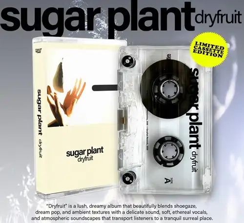 sugar plant / Dryfruit