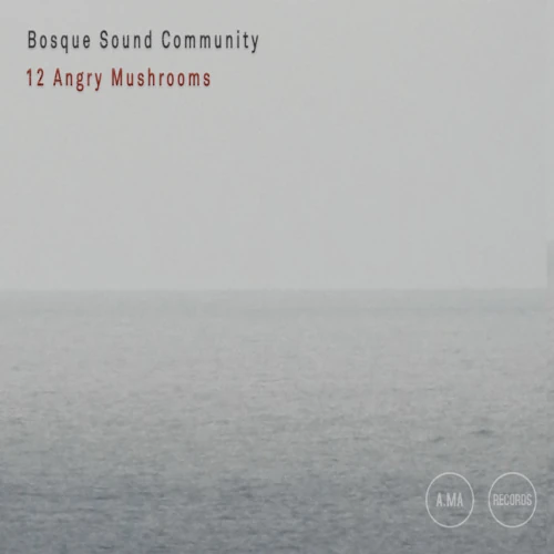 BOSQUE SOUND COMMUNITY / 12 ANGRY MUSHROOMS
