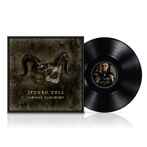 JETHRO TULL / ジェスロ･タル / CURIOUS RUMINANT: LIMITED VINYL