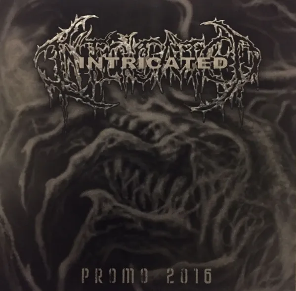 INTRICATED / PROMO 2016