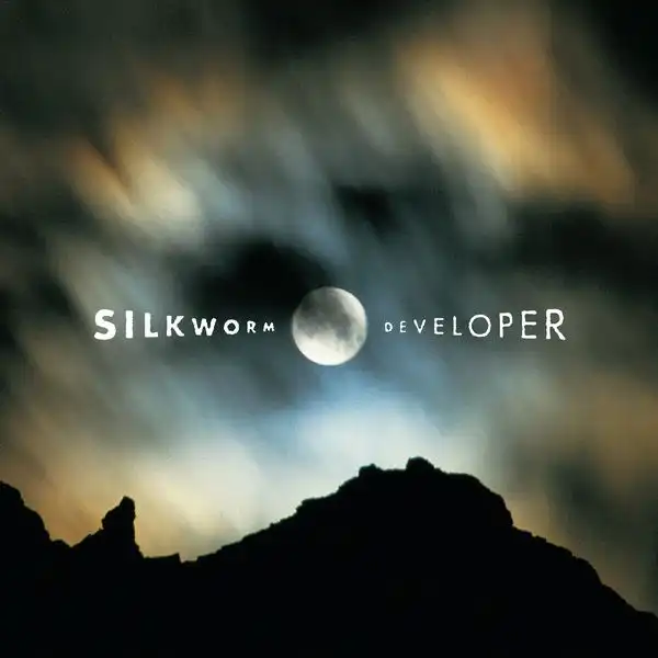 SILKWORM / シルクワーム / DEVELOPER (DELUXE EDITION 2LP + CD)