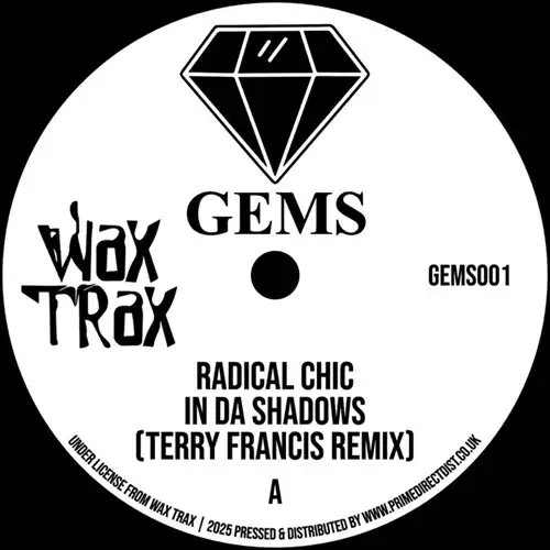 RADICAL CHIC / SPACE BUNNY / IN DA SHADOWS (TERRY FRANCIS REMIX) / THE KEY (WAX TRAX REMIX)