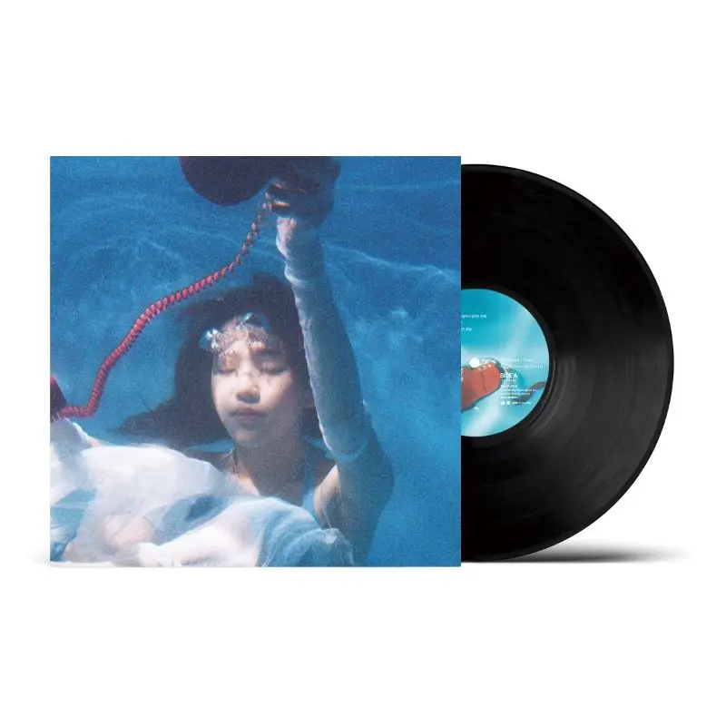MEANINGFUL STONE / ミーニングフル・ストーン / A Call From My Dream（LP） / A Call From My Dream