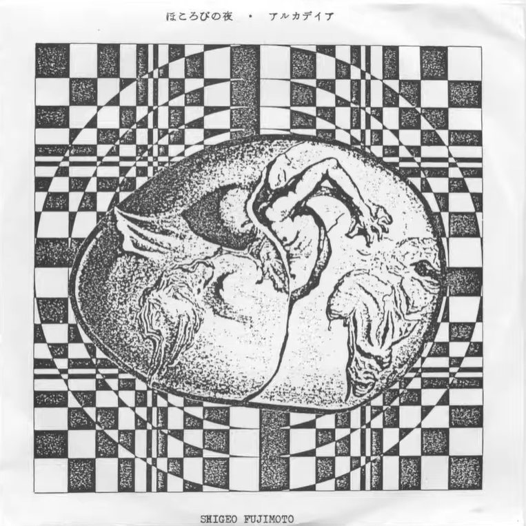 SHIGEO FUJIMOTO / ほころびの夜/アルカディア