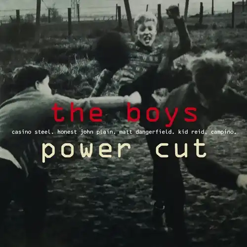 BOYS / ボーイズ / POWER CUT (LP)