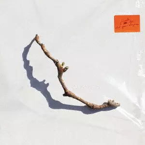 PJ HARVEY / PJ ハーヴェイ / I INSIDE THE OLD YEAR DYING