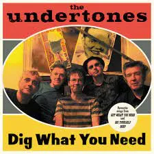 THE UNDERTONES / アンダートーンズ / DIG WHAT YOU NEED