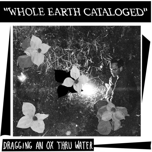 DRAGGING AN OX THROUGH WATER / WHOLE EARTH CATALOGUED