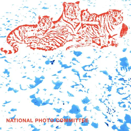 NATIONAL PHOTO COMMITTEE / RED HOT PHOTO COMMITTEE (LP)
