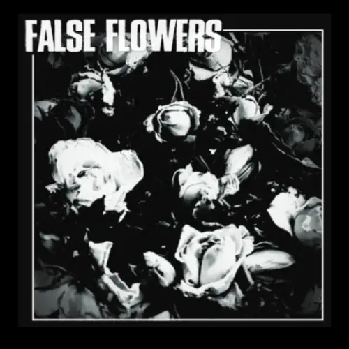 FALSE FLOWERS / FALSE FLOWERS (12")