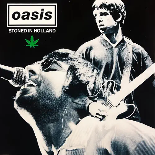 OASIS / オアシス / STONED IN HOLLAND (PICTURE DISC LP)