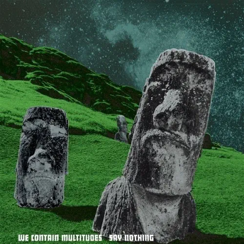 WE CONTAIN MULTITUDES / SAY NOTHING (LP)