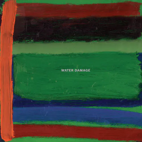 WATER DAMAGE / REPAIR (2XLP)