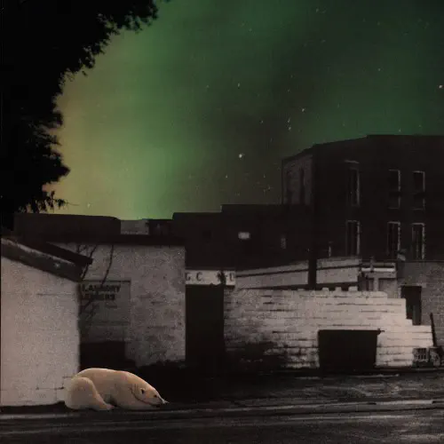 THERMALS / サーマルズ / UNDER CRUSHING RAIN (LP)