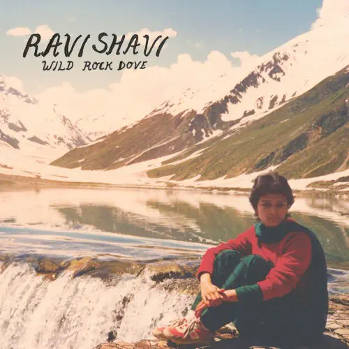 RAVI SHAVI / WILD ROCK DOVE (LP)
