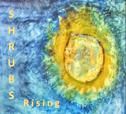 SHRUBS / RISING (CD)