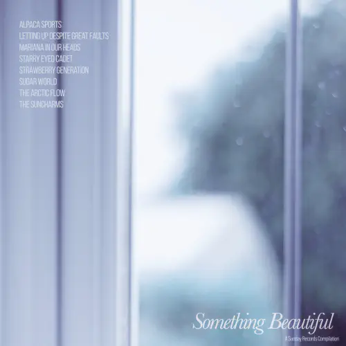 V.A. / SOMETHING BEAUTIFUL (LP)