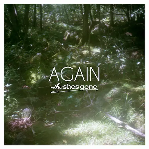 the shes gone / AGAIN