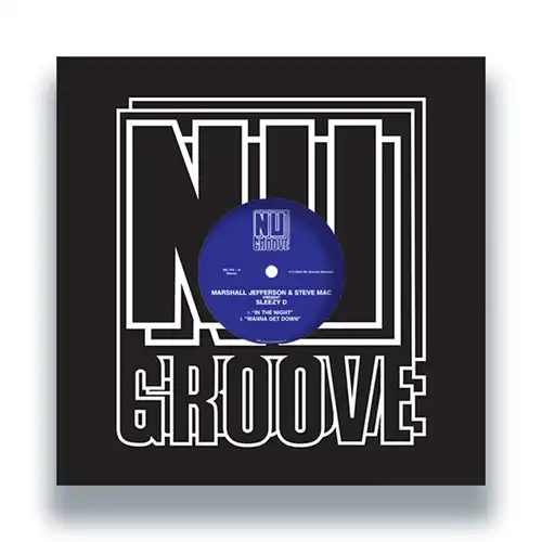 V.A. (NU GROOVE) / IN THE NIGHT / WANNA GET DOWN / JUJU LOVE / IN THE DARK