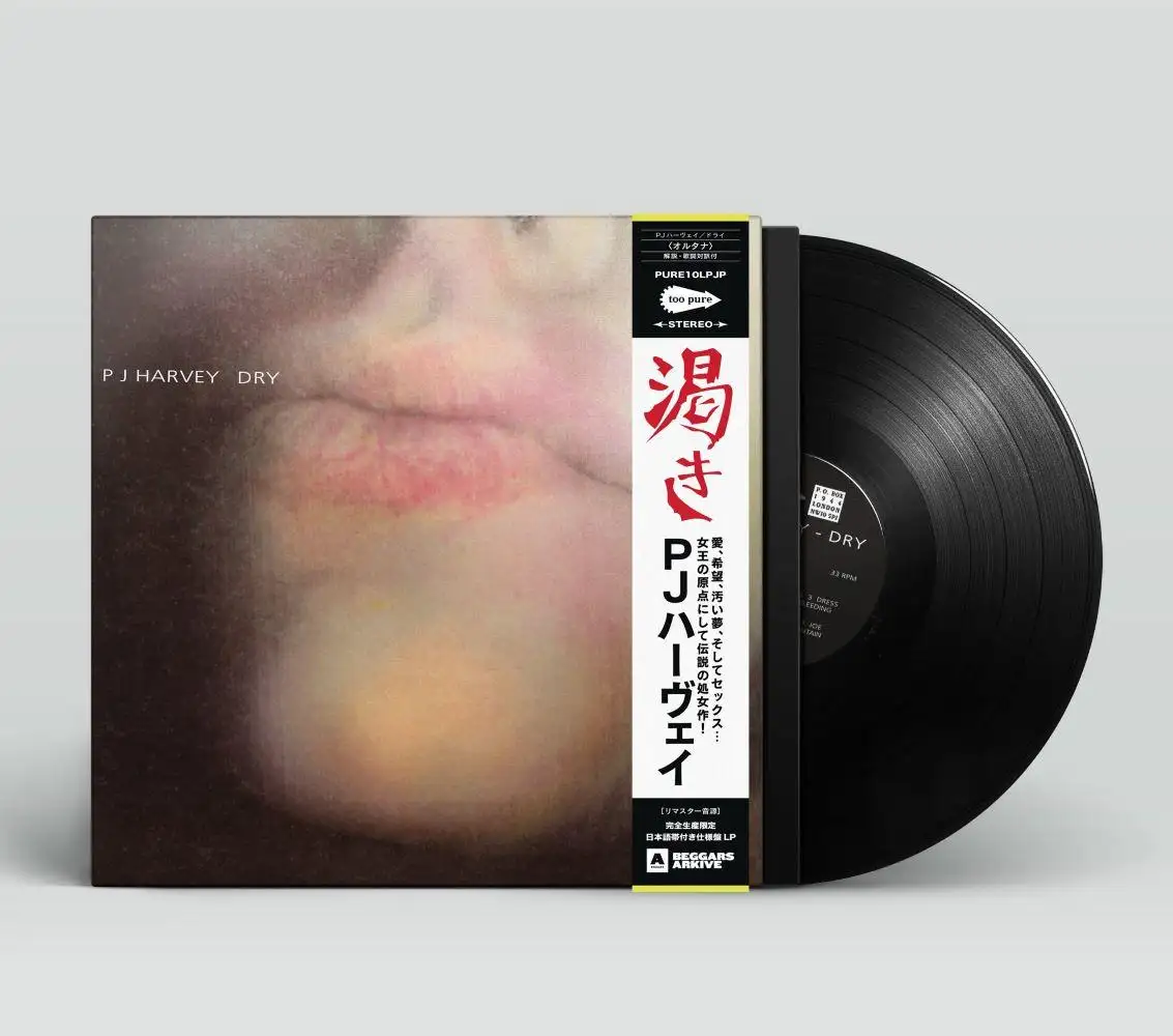 PJ HARVEY / PJ ハーヴェイ / ドライ (LP) / DRY