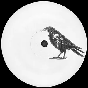 RAVEN DAZE / RING MY BELL / FEELING ABOUT YOU (12")