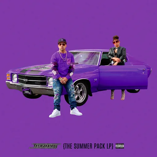 TERMANOLOGY / ターマノロジー / THE SUMMER PACK LP (LP)