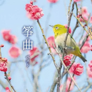 (伝統音楽) / 筝曲 ベスト