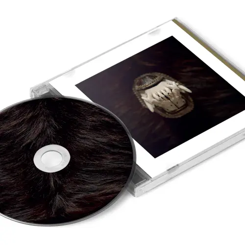 AMENRA / アメンラー / DE TOORN