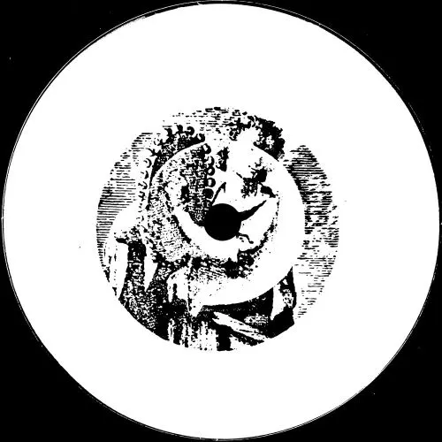 HOLY TONGUE / AMBULANCE