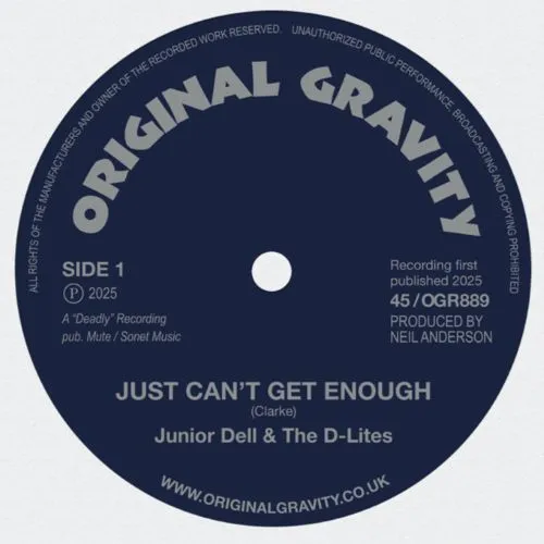 JUNIOR DELL & THE D-LITES / JUST CANT GET ENOUGH