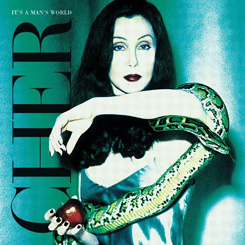 CHER / シェール / IT'S A MAN'S WORLD (2LP) / IT'S A MAN'S WORLD [2LP BLACK VINYL]