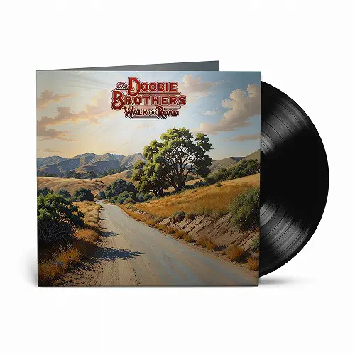 DOOBIE BROTHERS / ドゥービー・ブラザーズ / WALK THIS ROAD (LP) / WALK THIS ROAD [BLACK VINYL]
