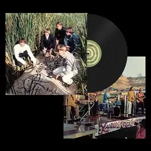 CHILDREN OF THE MUSHROOM / CHILDREN OF THE MUSHROOM (LP)