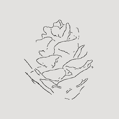 kikuchi keisuke / inspiro（CASSETTE)