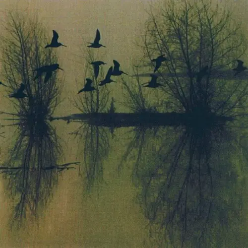 DUSK / MAJESTIC THOU IN RUIN