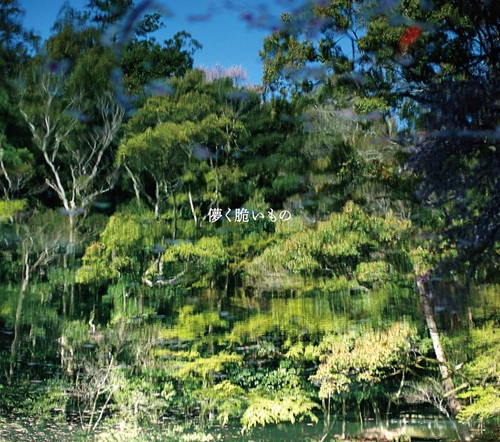 RYOTA FUJIMAKI / 藤巻亮太 / 儚く脆いもの（初回限定盤 CD+DVD）