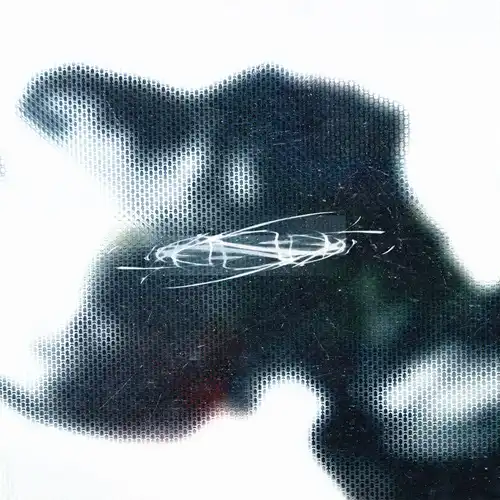 CONNA HARAWAY / SPATIAL FIX