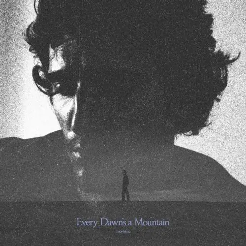 TAMINO / EVERY DAWN'S A MOUNTAIN [CD]