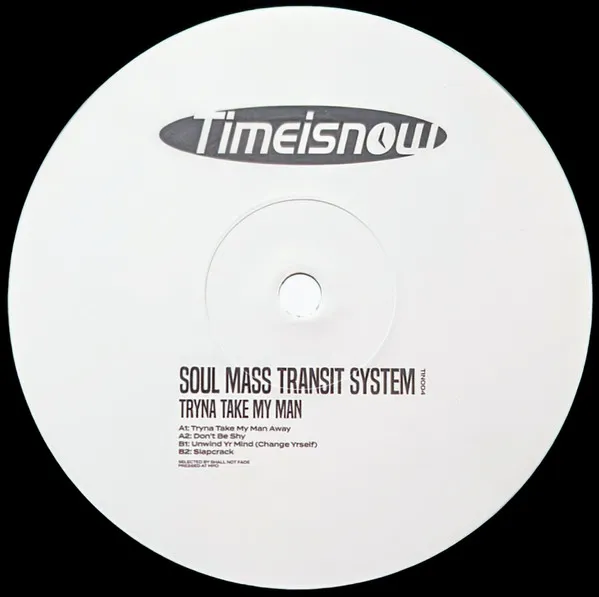 SOUL MASS TRANSIT SYSTEM / TRYNA TAKE MY MAN