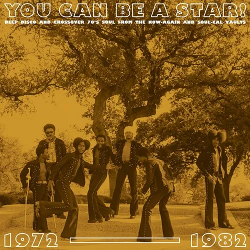 V.A. (YOU CAN BE A STAR) / YOU CAN BE A STAR! - DEEP DISCO & CROSSOVER 70S SOUL FROM THE NOW-AGAIN & SOUL-CAL VAULTS, 1972-1982
