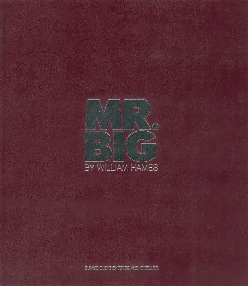 MR. BIG / ミスター・ビッグ / MR.BIG写真集