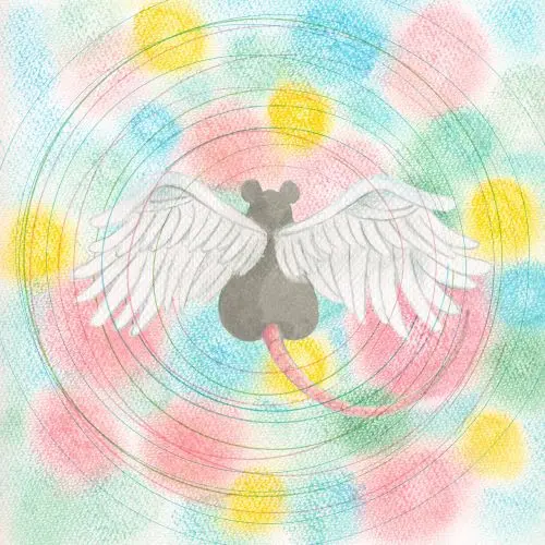 MEI SEMONES / メイ・シモネス / ANIMARU (PINK MARBLE VINYL)