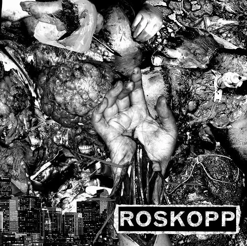 ROSKOPP : SICK DESTROYER / SPLIT (7")