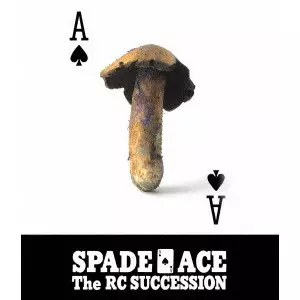 RC SUCCESSION / RCサクセション / スペードのエース