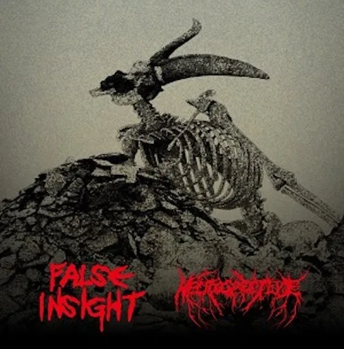 FALSE INSIGHT / NECROSPECTIVE / RESENTMENT