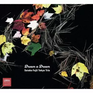 SATOKO FUJII / 藤井郷子 / ドリーム・ア・ドリーム / DREAM A DREAM