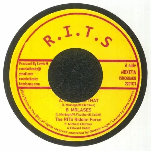 THE RITS RIDDIM FORCE FEAT MICHAEL FLETCHER & EDWARD CUBITT  / GOES LIKE THAT