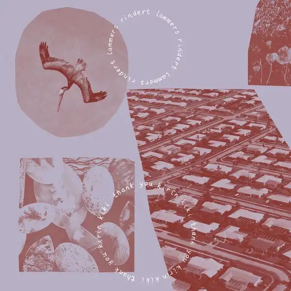 RINDERT LAMMERS / THANK YOU KIRIN KIKI [LP - BLACK]