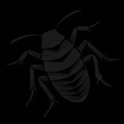 ROACH SQUAD / ROACH SQUAD（LP）