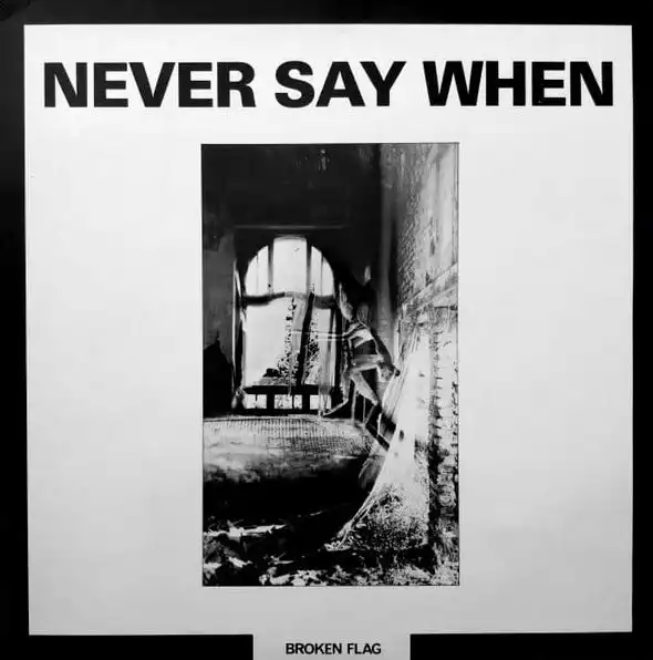 V.A. (NOISE / AVANT-GARDE) / BROKEN FLAG: NEVER SAY WHEN